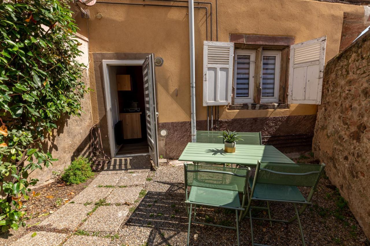 Appartement Cosy Avec Jardin Au Centre Historique De Selestat & Proche Europa-Park Exterior photo